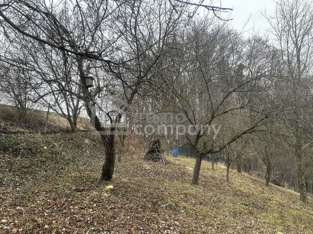 3-Zimmer-Immobilie kaufen in Südoststeiermark – 55 m², € 115.000 – Bild 5 von 11
