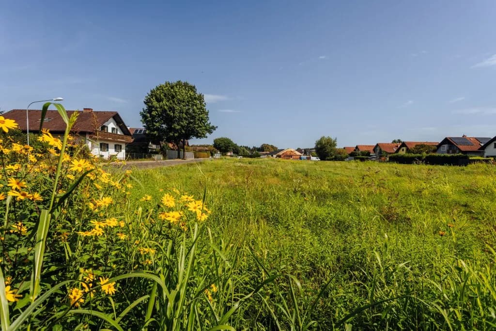 Gewerbeimmobilie kaufen in Leibnitz – 1 886 m², € 1.300.000 – Bild 5 von 26