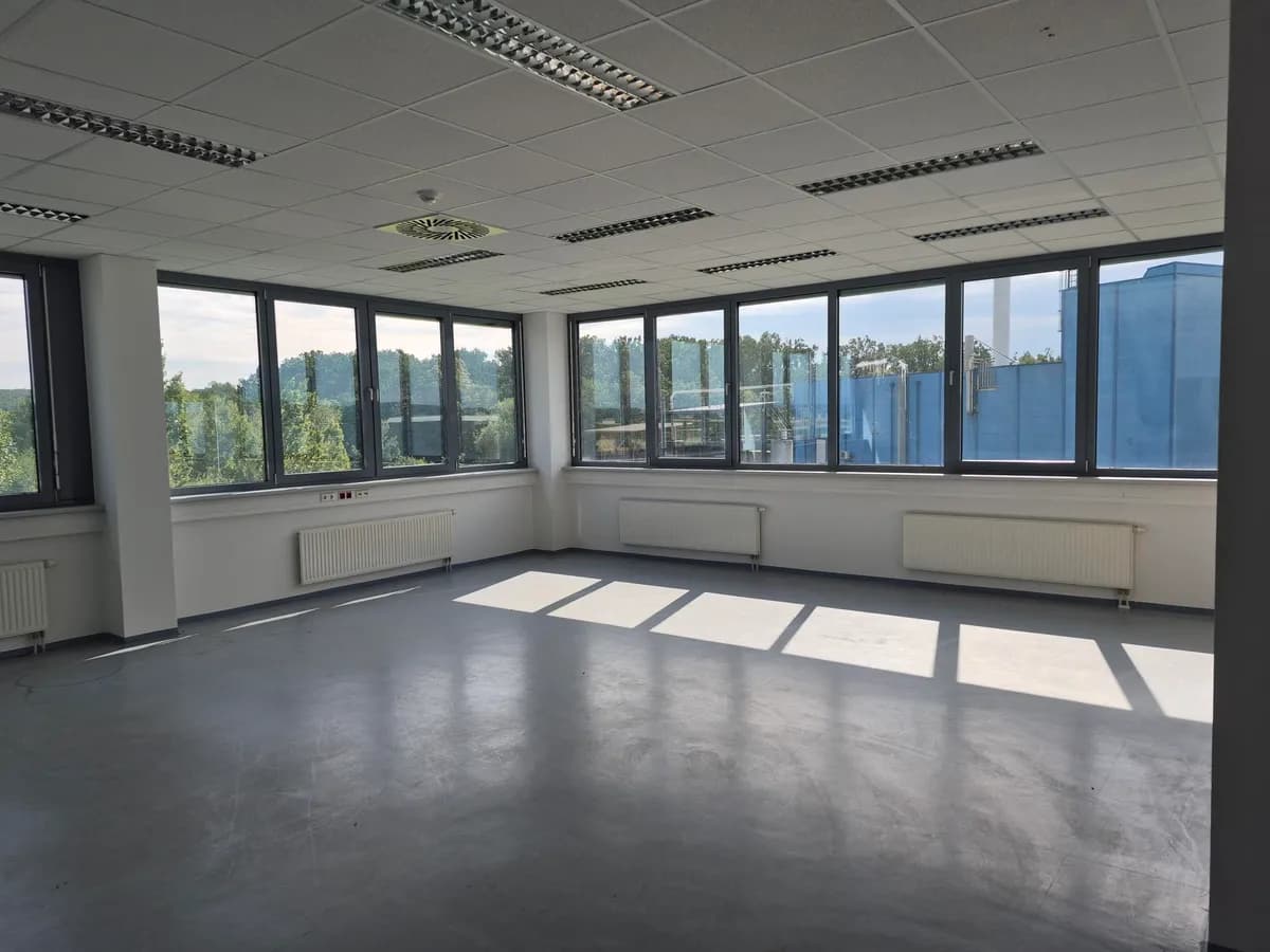Gewerbeimmobilie mieten in Güssing – 240 m² – Bild 3 von 11