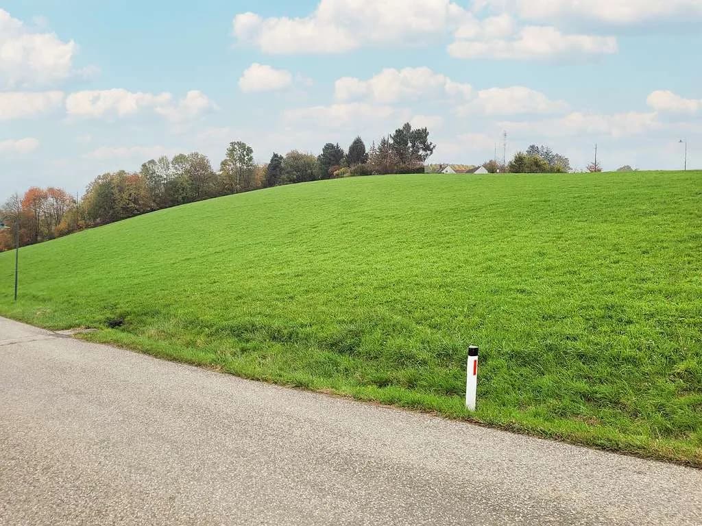 Grundstück kaufen in Hartberg-Fürstenfeld – 17 348 m², € 104.000