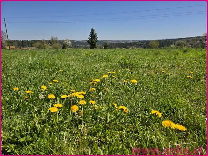 Grundstück kaufen in Deutschlandsberg – 864 m², € 136.512 – Bild 5 von 8