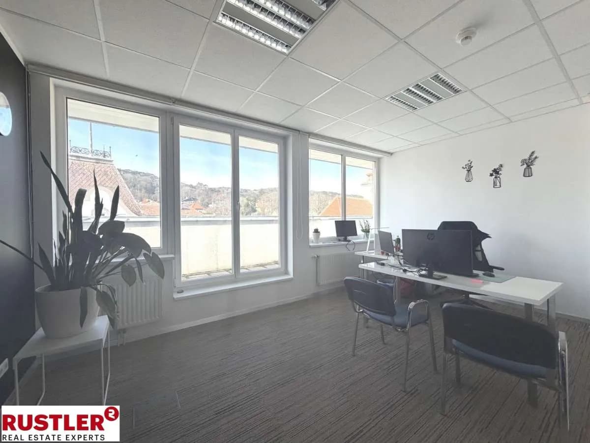 9-Zimmer-Gewerbeimmobilie mieten in Mödling – 377 m², € 7.669 – Bild 2 von 9