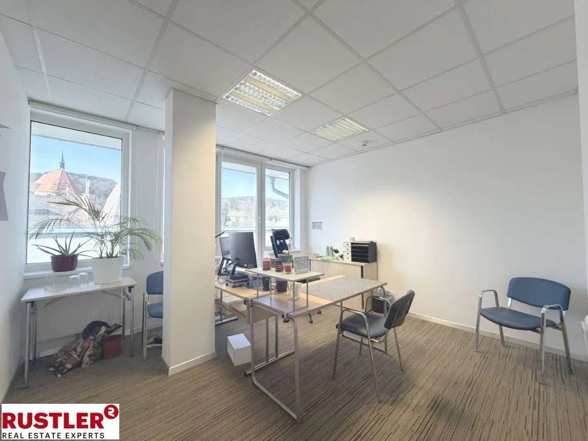 9-Zimmer-Gewerbeimmobilie mieten in Mödling – 377 m², € 7.669 – Bild 7 von 9