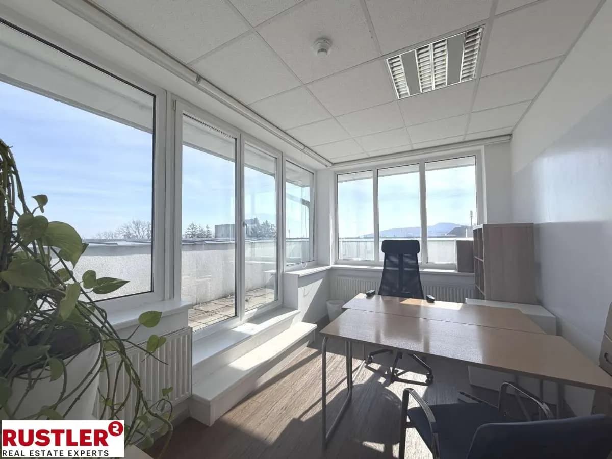 6-Zimmer-Gewerbeimmobilie mieten in Mödling – 250 m², € 5.340 – Bild 2 von 5