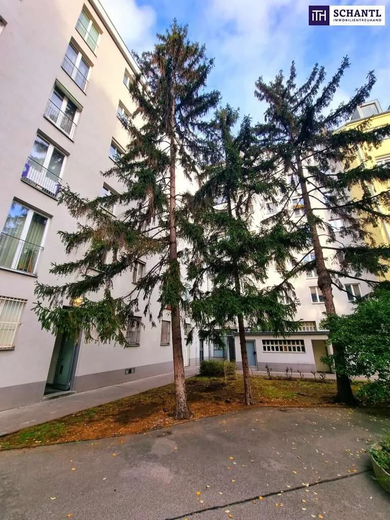 2-Zimmer-Wohnung kaufen in Wien – 51,99 m², € 199.000 – Bild 10 von 26