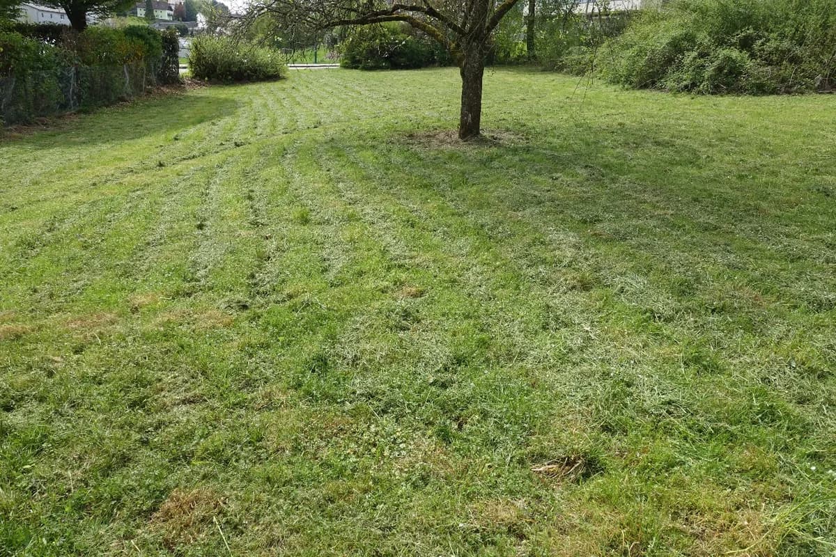 Grundstück kaufen in Wels-Land – 700 m², € 195.000 – Bild 6 von 13