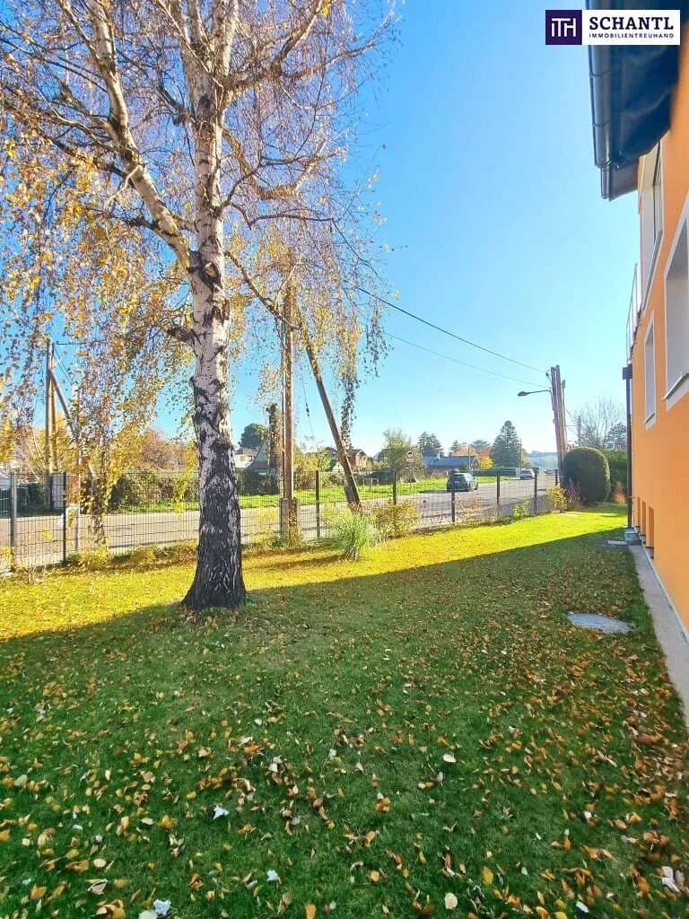 4-Zimmer-Wohnung mieten in Wien – 153,68 m², € 3.467 – Bild 36 von 40