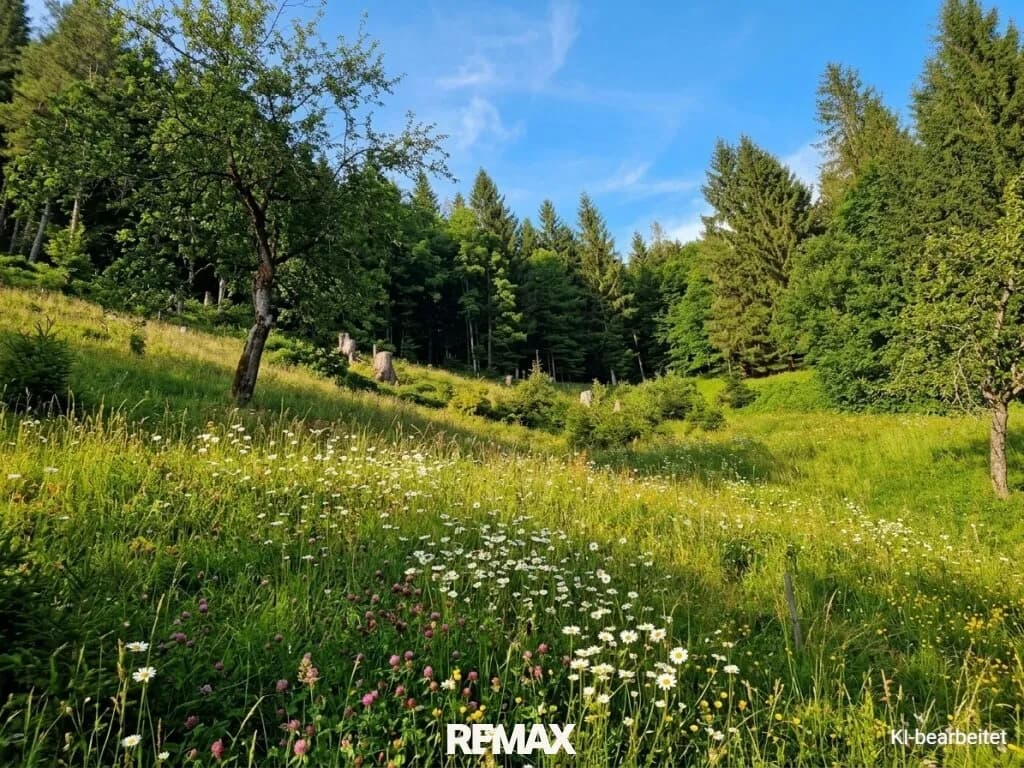 6-Zimmer-Immobilie kaufen in Deutschlandsberg – 56,46 m², € 299.000 – Bild 11 von 30