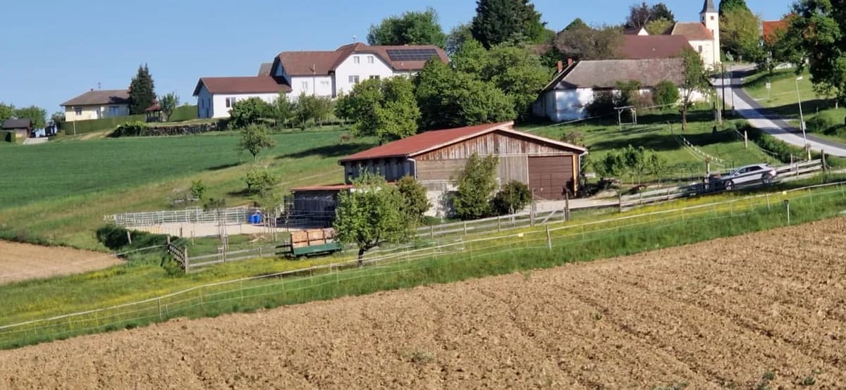 Immobilie kaufen in Güssing – 6 096 m², € 395.000 – Bild 3 von 14