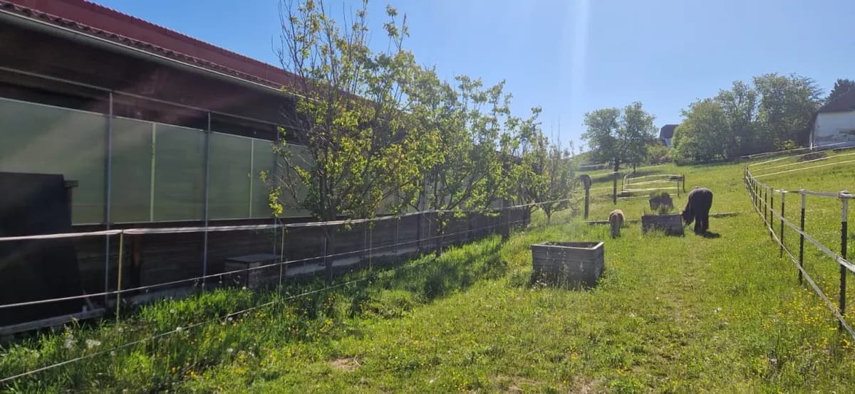 Immobilie kaufen in Güssing – 6 096 m², € 395.000 – Bild 5 von 14