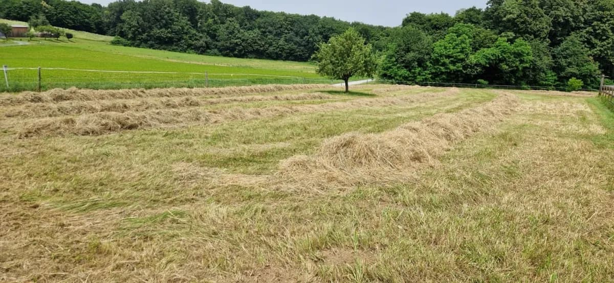 Immobilie kaufen in Güssing – 6 096 m², € 395.000 – Bild 14 von 14