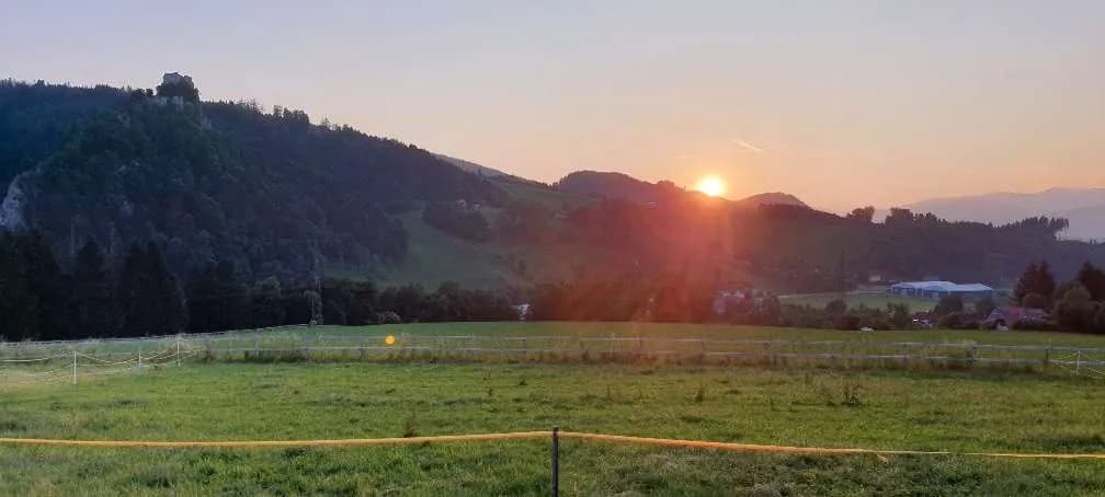 4-Zimmer-Wohnung mieten in Murtal – 75 m², € 690 – Bild 8 von 42
