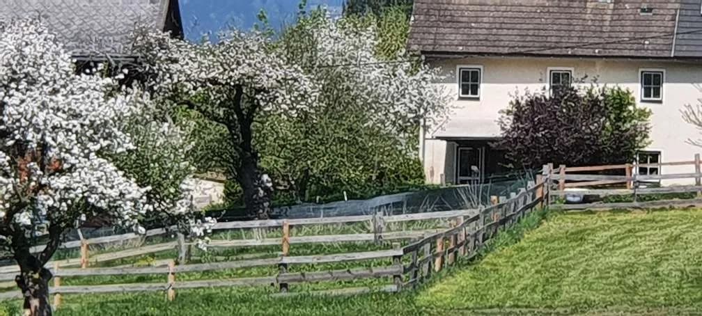 4-Zimmer-Wohnung mieten in Murtal – 75 m², € 690 – Bild 11 von 42