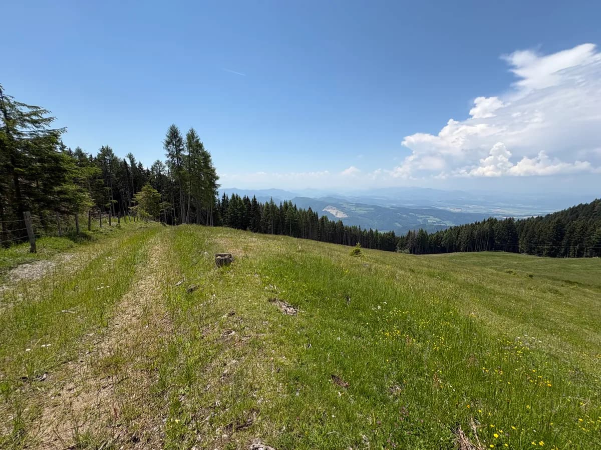 Grundstück kaufen in Sankt Veit an der Glan – 69 156 m², € 210.000