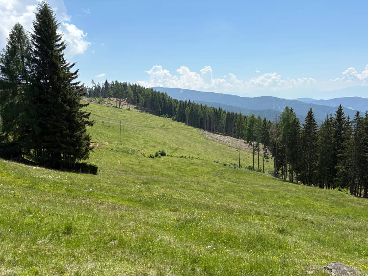 Grundstück kaufen in Sankt Veit an der Glan – 69 156 m², € 210.000 – Bild 9 von 13
