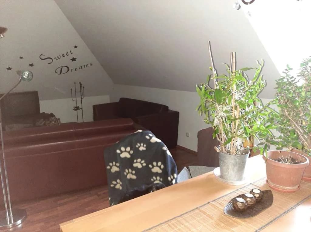 3-Zimmer-Wohnung mieten in Mödling – 140 m², € 1.290 – Bild 7 von 19