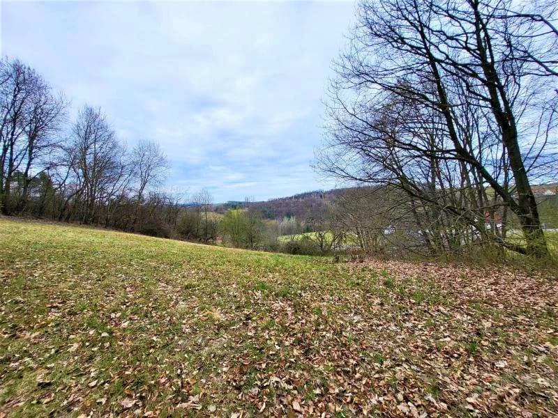 Grundstück kaufen in Jennersdorf – 5 444 m², € 199.000