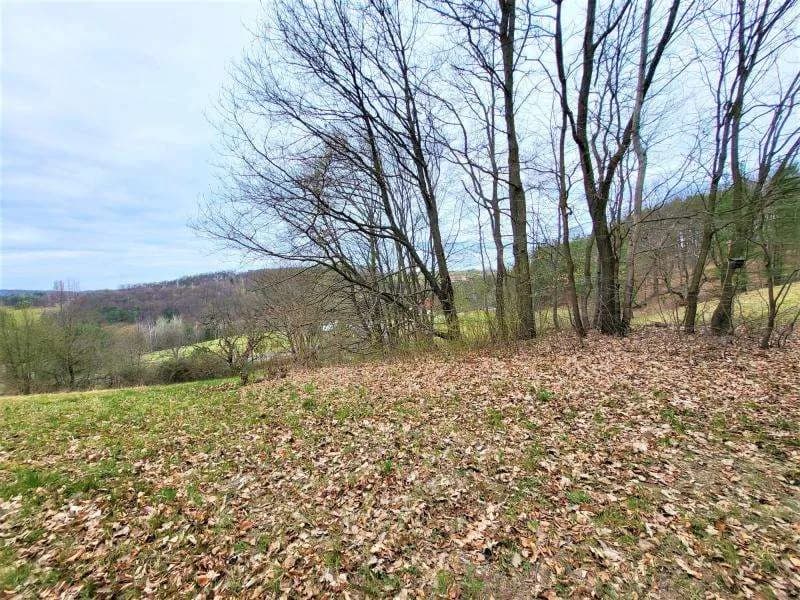 Grundstück kaufen in Jennersdorf – 5 444 m², € 199.000 – Bild 2 von 12