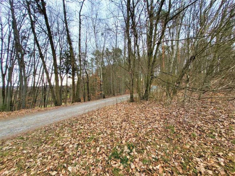 Grundstück kaufen in Jennersdorf – 5 444 m², € 199.000 – Bild 3 von 12