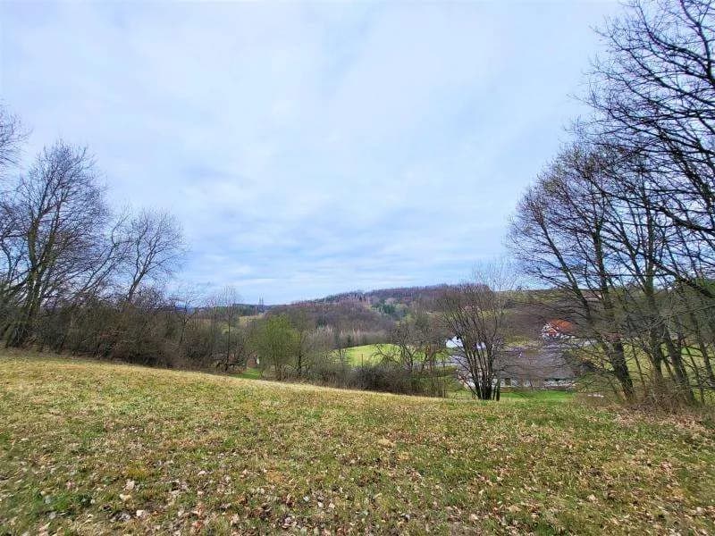 Grundstück kaufen in Jennersdorf – 5 444 m², € 199.000 – Bild 11 von 12