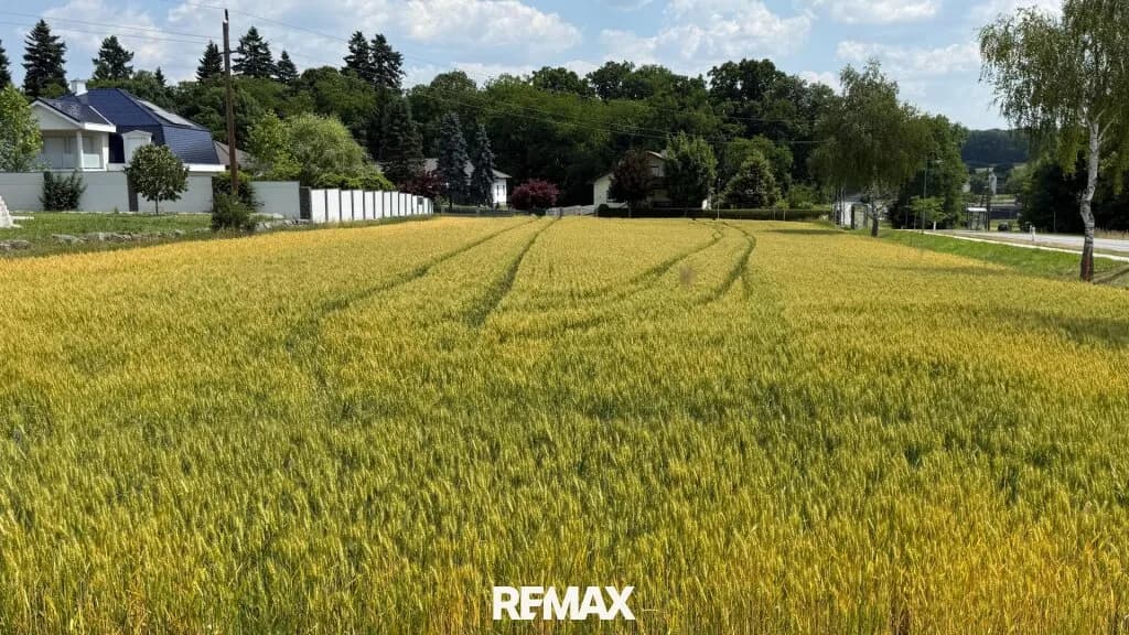 Grundstück kaufen in Oberwart – 3 608 m², € 99.000