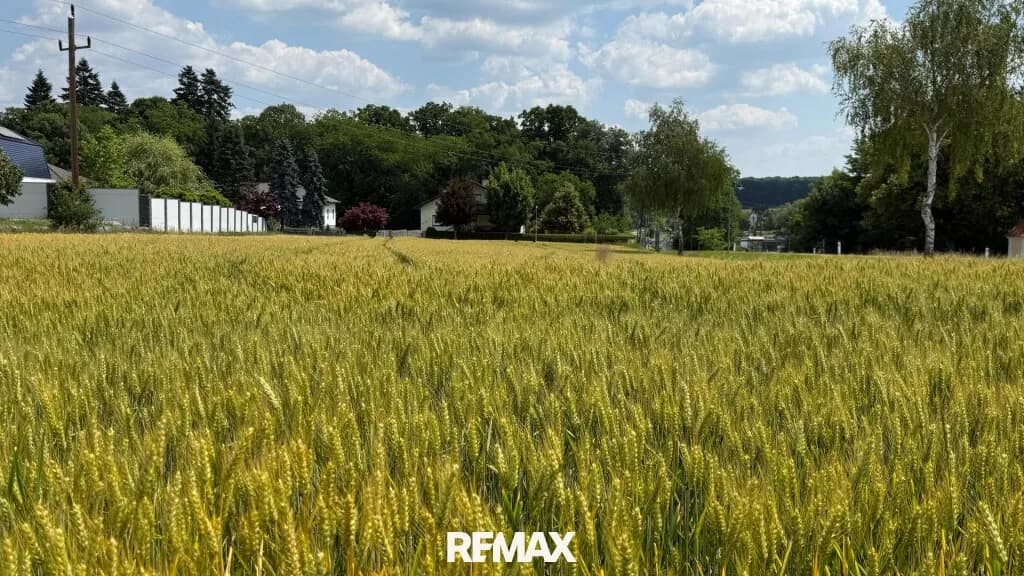 Grundstück kaufen in Oberwart – 3 608 m², € 99.000 – Bild 3 von 5