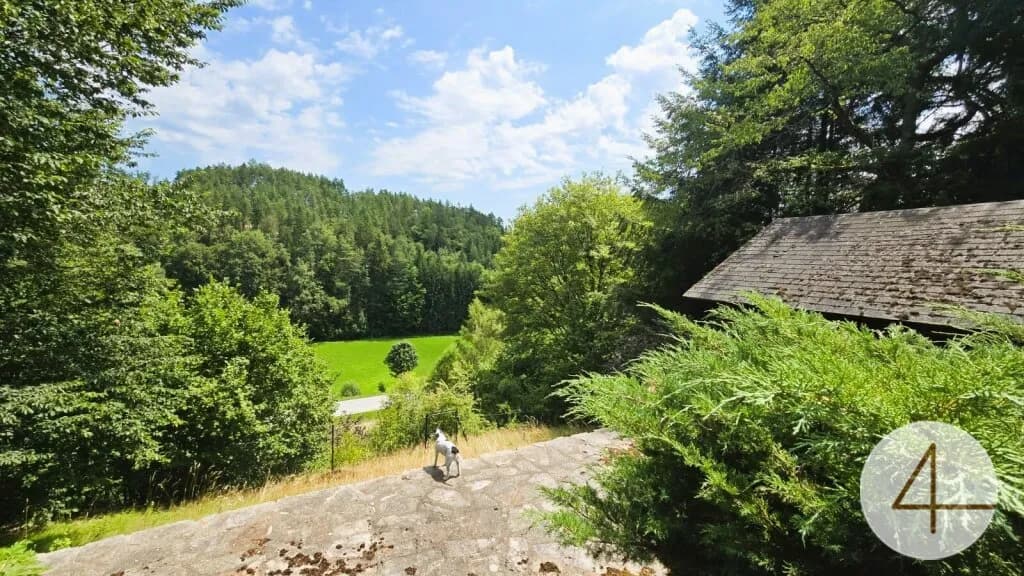 Haus kaufen in Zwettl – 2 326 m², € 389.000 – Bild 7 von 18