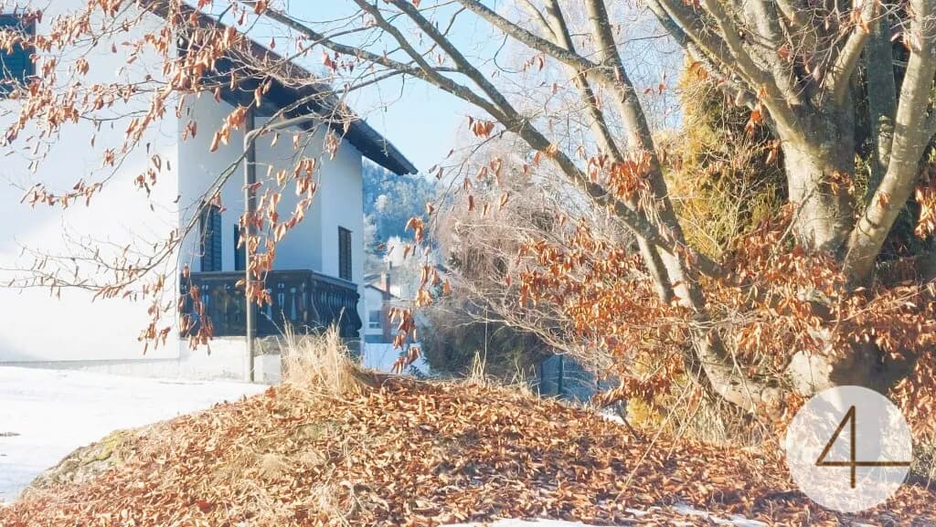 Haus kaufen in Zwettl – 2 326 m², € 389.000 – Bild 18 von 18