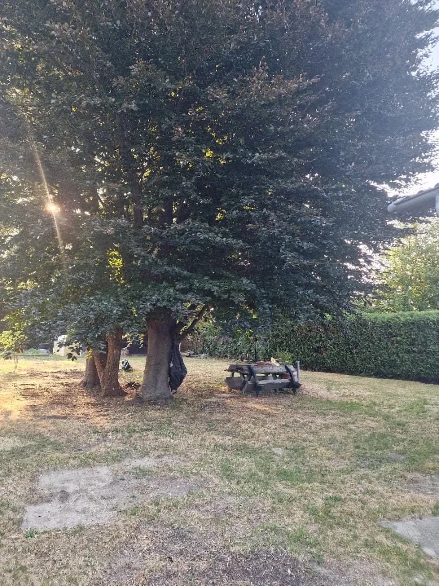 Grundstück kaufen in Baden – 1 043 m², € 349.000 – Bild 2 von 6