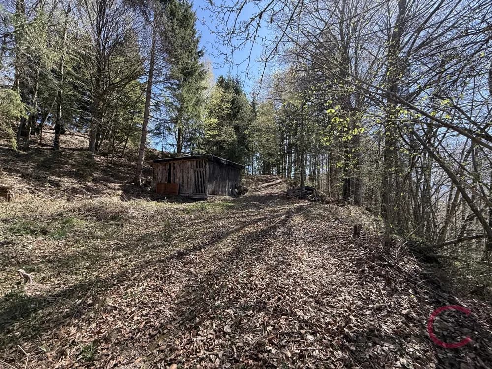 Grundstück kaufen in Klagenfurt Land – 4 194 m², € 137.000 – Bild 3 von 3