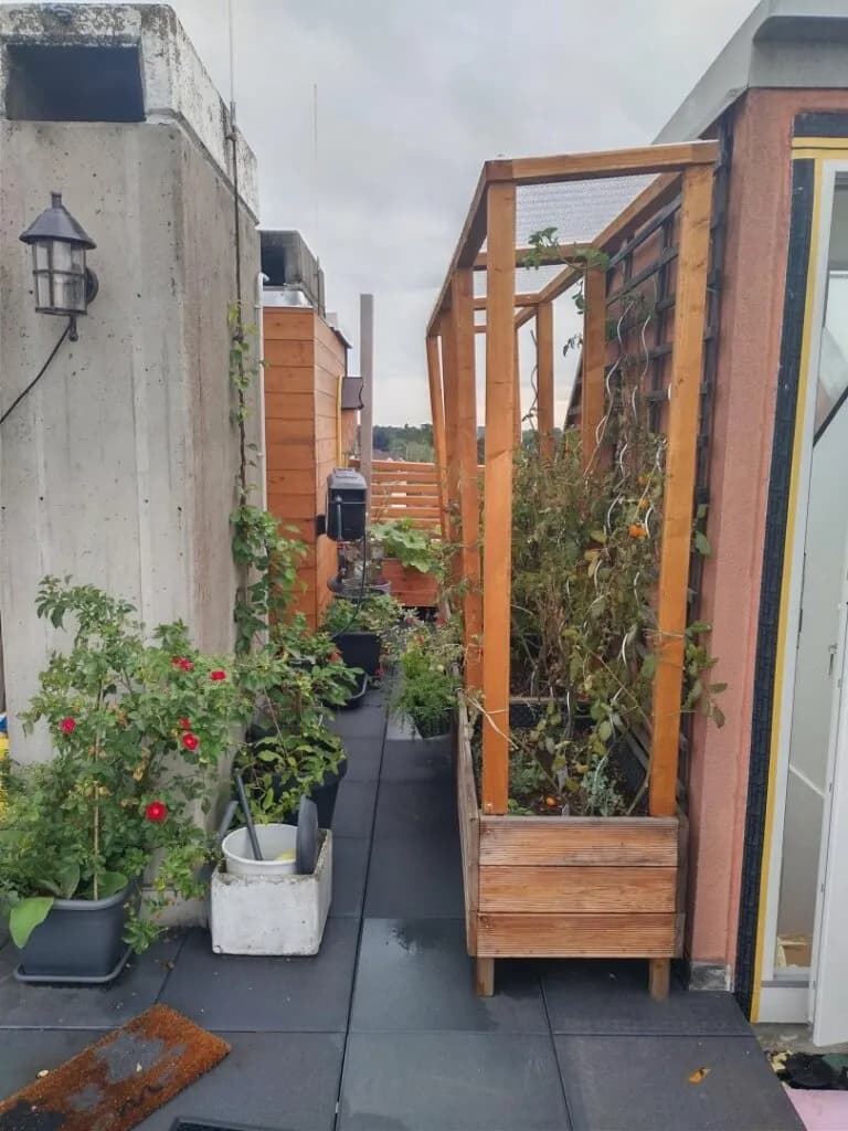 4-Zimmer-Wohnung kaufen in Wels-Land – 125,61 m², € 265.000 – Bild 22 von 23