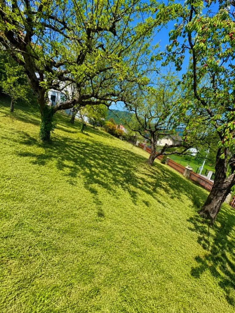 Grundstück kaufen in Graz – 1 375 m², € 390.000 – Bild 6 von 6