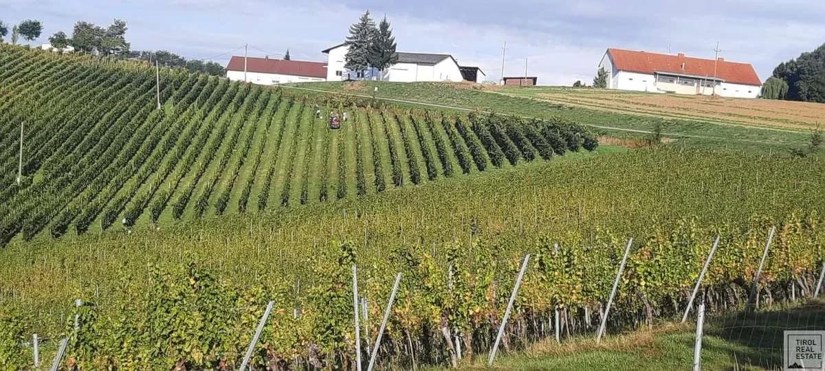 10-Zimmer-Immobilie kaufen in Jennersdorf – 570 m², € 2.670.000 – Bild 15 von 27