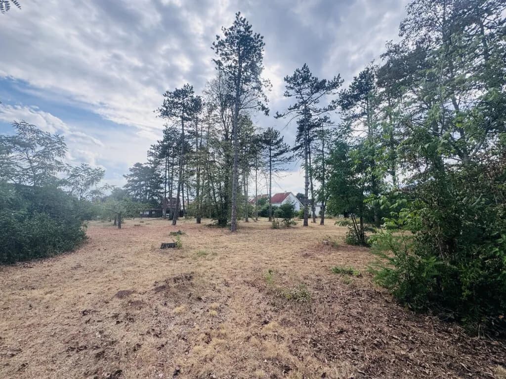 Grundstück kaufen in Gänserndorf – € 214.000 – Bild 2 von 5