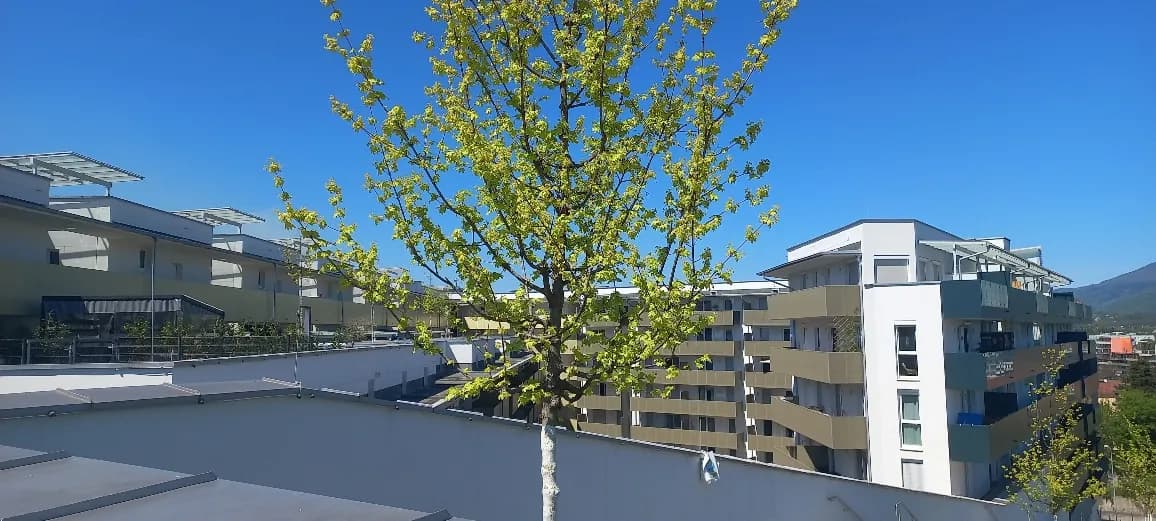 3-Zimmer-Wohnung mieten in Graz – 59 m², € 999 – Bild 2 von 12