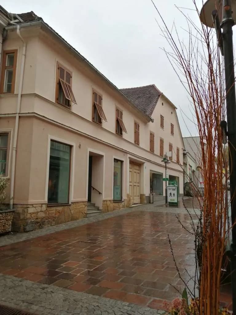 Gewerbeimmobilie mieten in Hartberg-Fürstenfeld – 1 082 m² – Bild 2 von 4