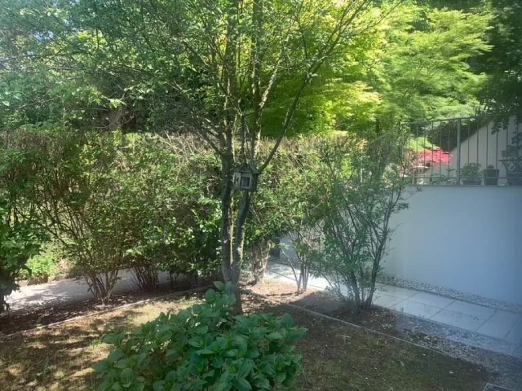 4-Zimmer-Haus mieten in Korneuburg – 145 m², € 2.490 – Bild 31 von 44