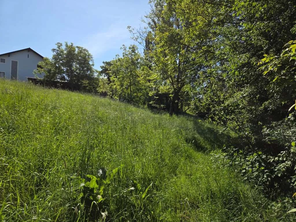 8-Zimmer-Immobilie kaufen in Südoststeiermark – 250 m², € 220.000 – Bild 5 von 13
