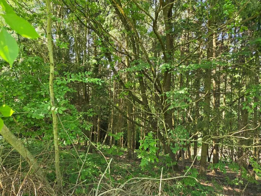 8-Zimmer-Immobilie kaufen in Südoststeiermark – 250 m², € 220.000 – Bild 7 von 13