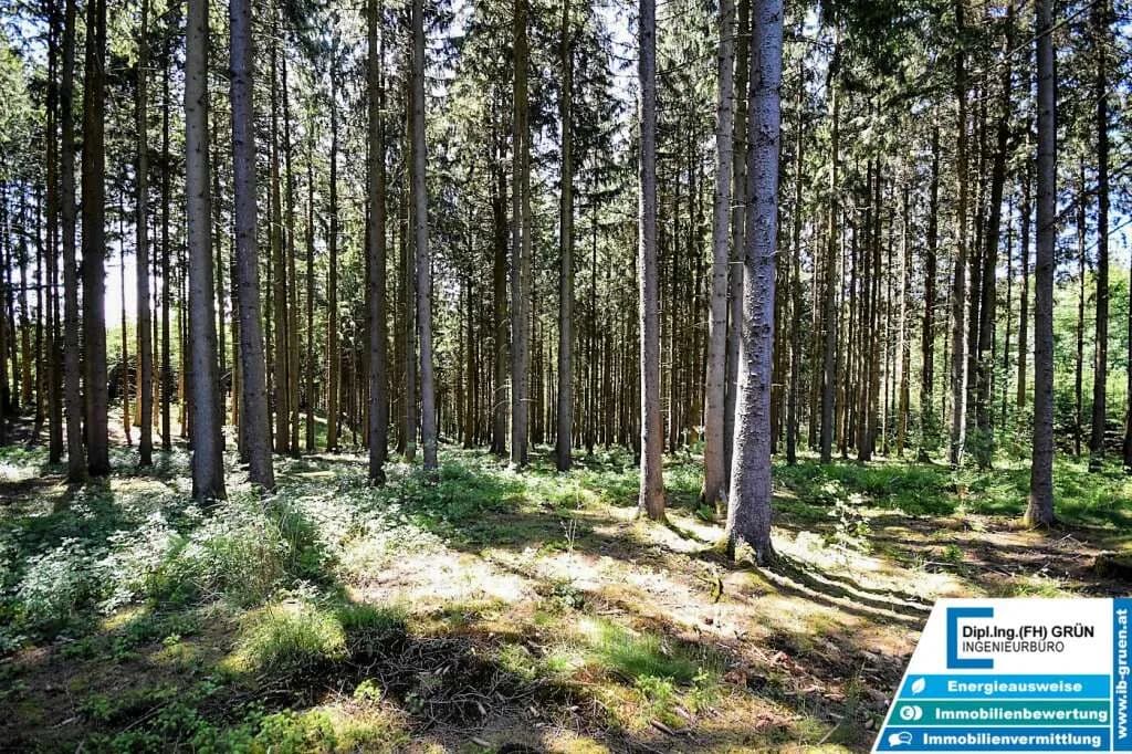 Grundstück kaufen in Schärding – 25 797 m², € 198.000 – Bild 3 von 16