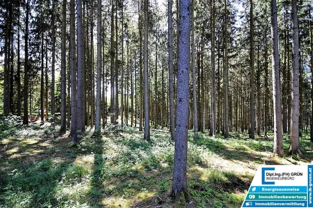 Grundstück kaufen in Schärding – 25 797 m², € 198.000 – Bild 7 von 16