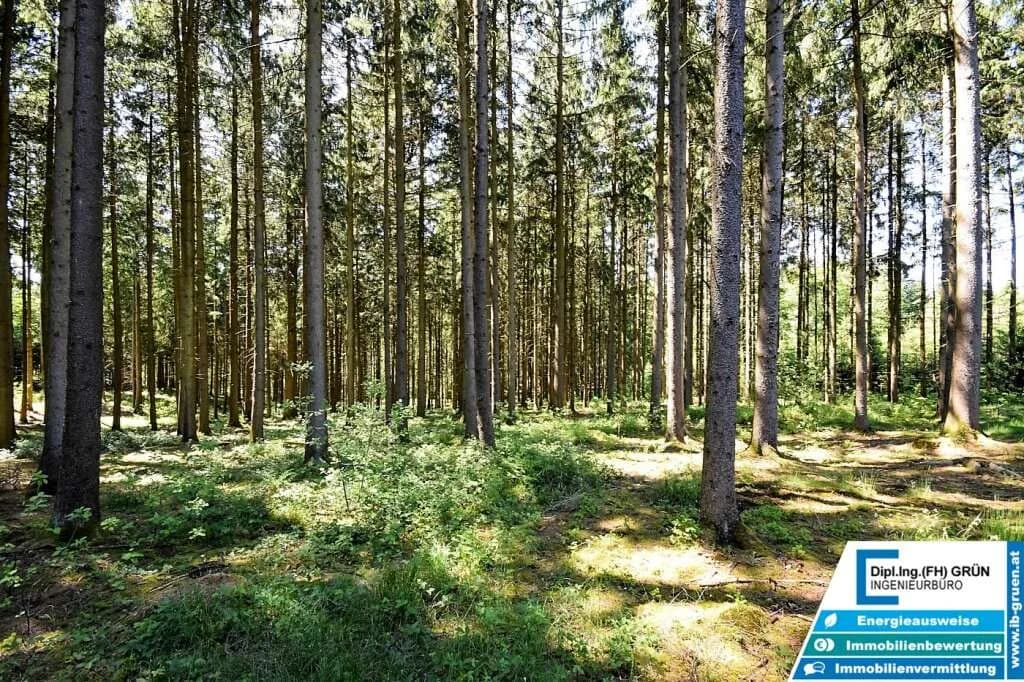 Grundstück kaufen in Schärding – 25 797 m², € 198.000 – Bild 8 von 16