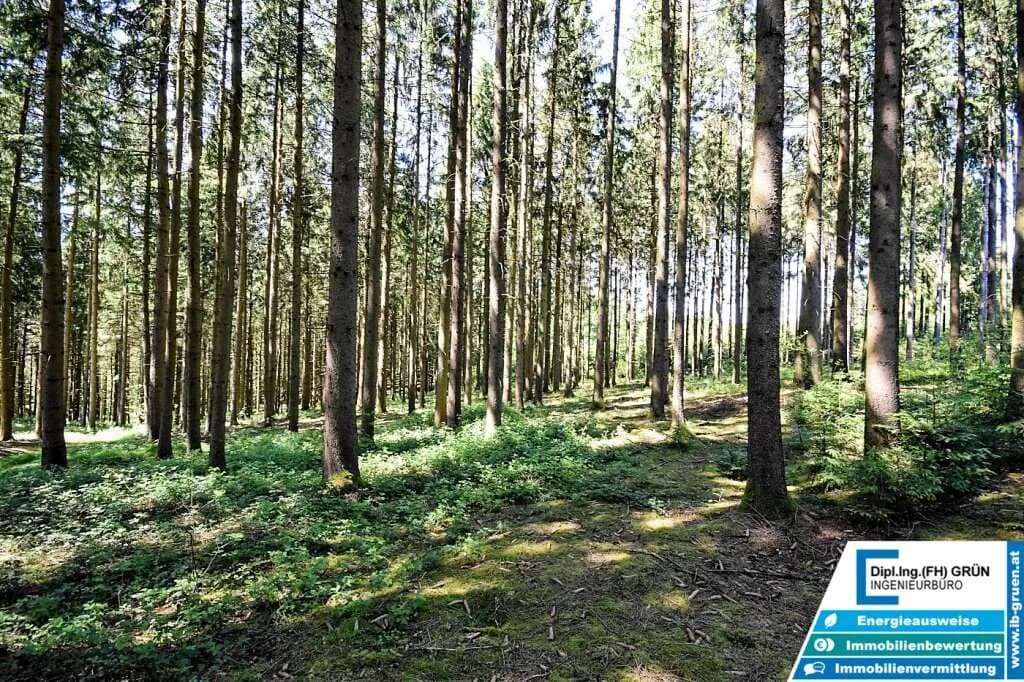 Grundstück kaufen in Schärding – 25 797 m², € 198.000 – Bild 9 von 16