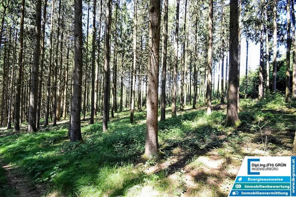 Grundstück kaufen in Schärding – 25 797 m², € 198.000 – Bild 10 von 16