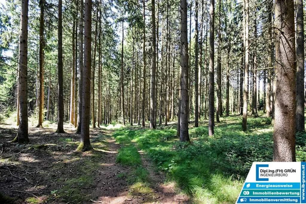 Grundstück kaufen in Schärding – 25 797 m², € 198.000 – Bild 11 von 16