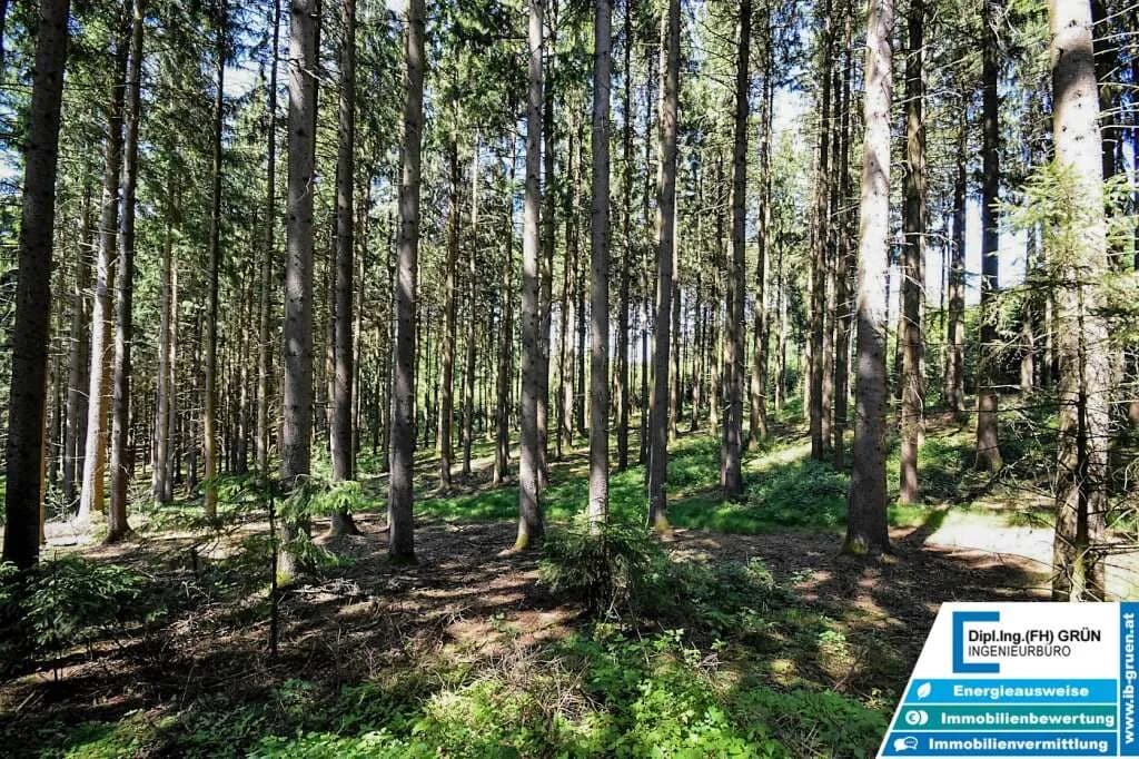Grundstück kaufen in Schärding – 25 797 m², € 198.000 – Bild 12 von 16