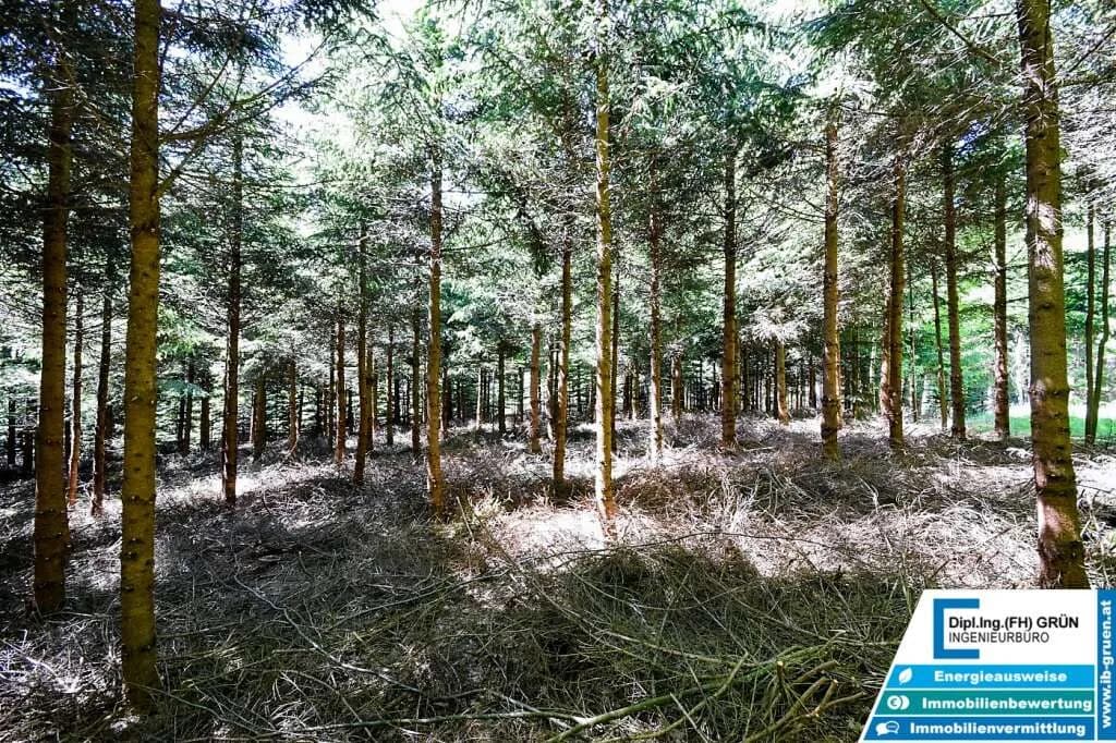 Grundstück kaufen in Schärding – 25 797 m², € 198.000 – Bild 13 von 16