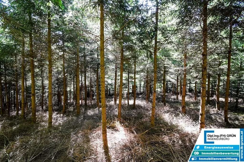 Grundstück kaufen in Schärding – 25 797 m², € 198.000 – Bild 14 von 16