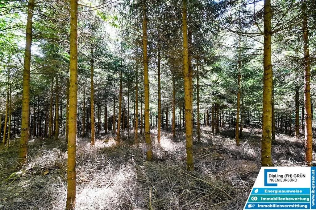 Grundstück kaufen in Schärding – 25 797 m², € 198.000 – Bild 15 von 16