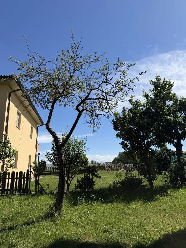 4-Zimmer-Wohnung kaufen in Linz Land – 89,88 m², € 420.000 – Bild 5 von 11